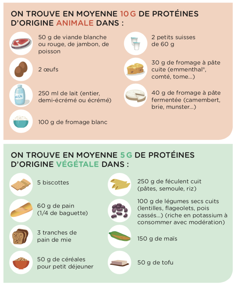 Fiche Conseil Pour Les Proteines Pour Patients Dialyses Chl