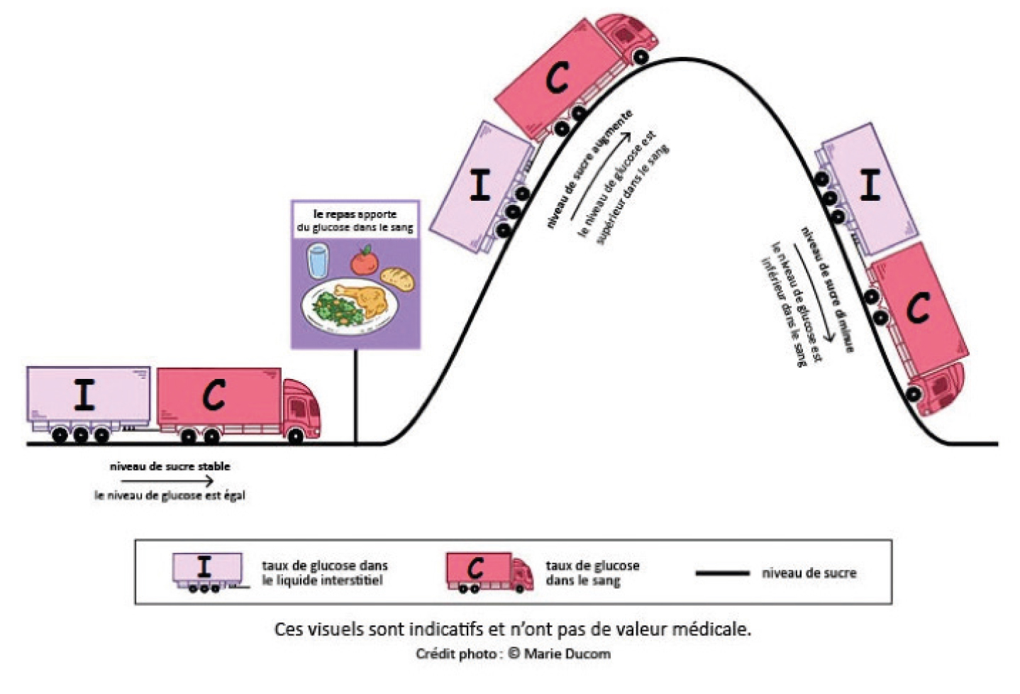 La mesure du glucose en continu (CGM)