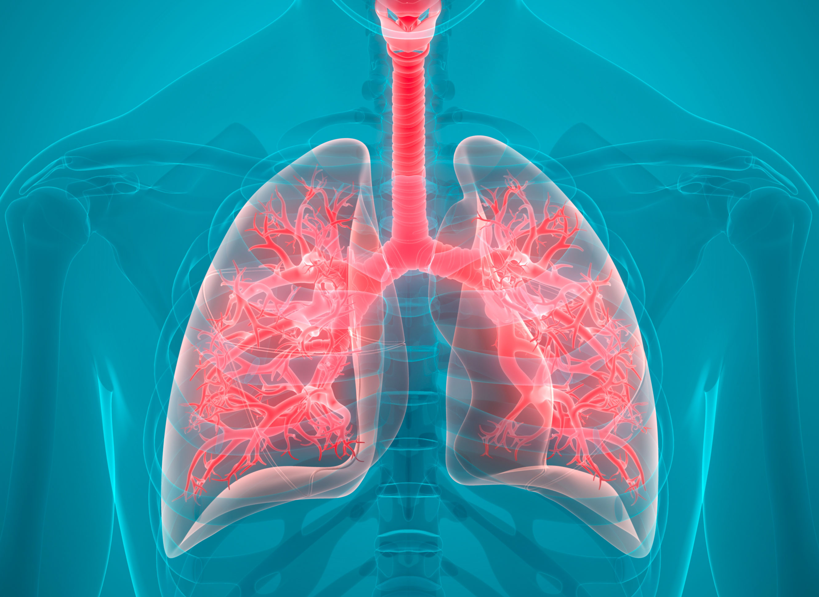 Peut On Mourir D Un Pneumothorax poumons | CHL