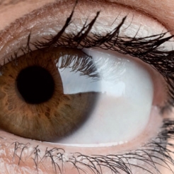 Chl maternité gynécologie