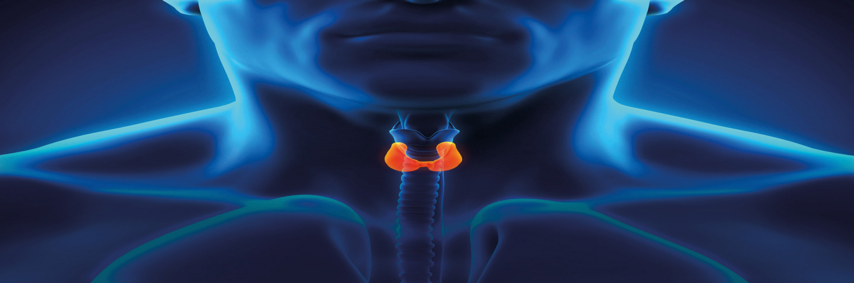 Schilddrüsekriibs-Cancer de la thyroïde | CHL