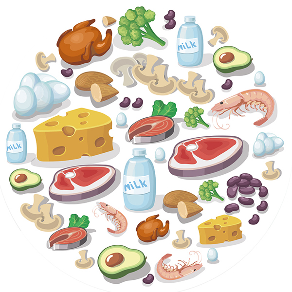 dessins d'aliments contenant des protéines
