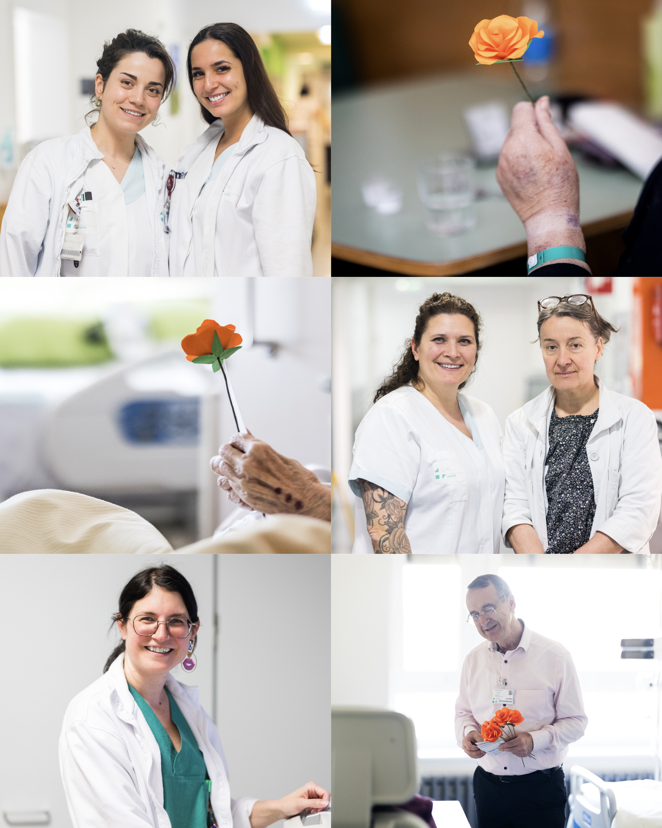 photo distribution fleures