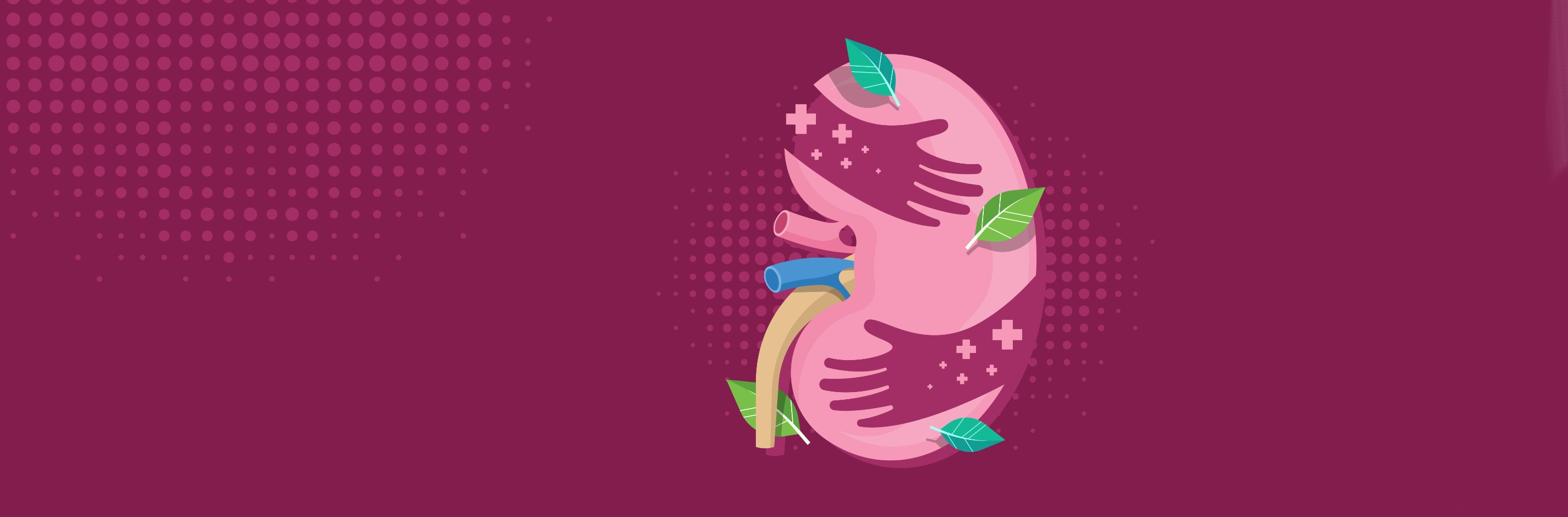 12.03: Journée mondiale du Rein 2026