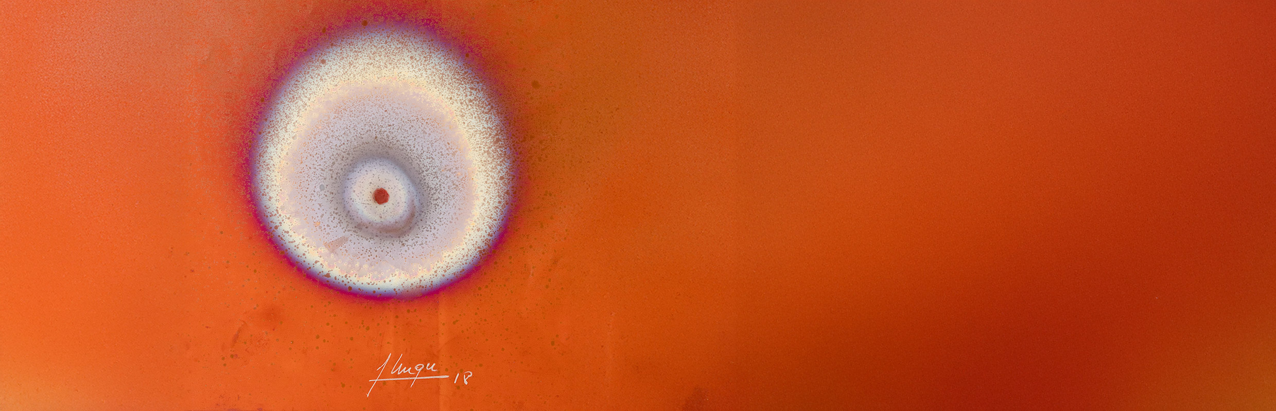 01.12 : Journée Mondiale contre le SIDA - Vernissage de l’exposition « COULEURS DE VIE »