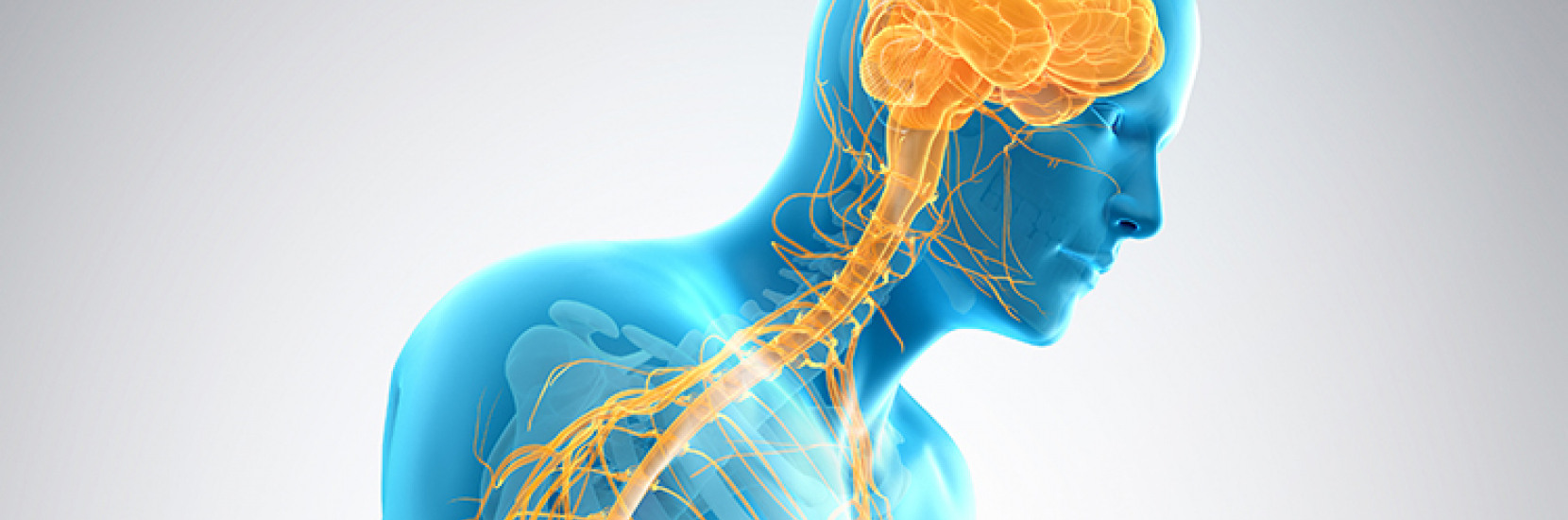 Pourquoi ne comprenons nous toujours pas mieux la maladie de Parkinson (MP) alors que la recherche à ce sujet est intense ?